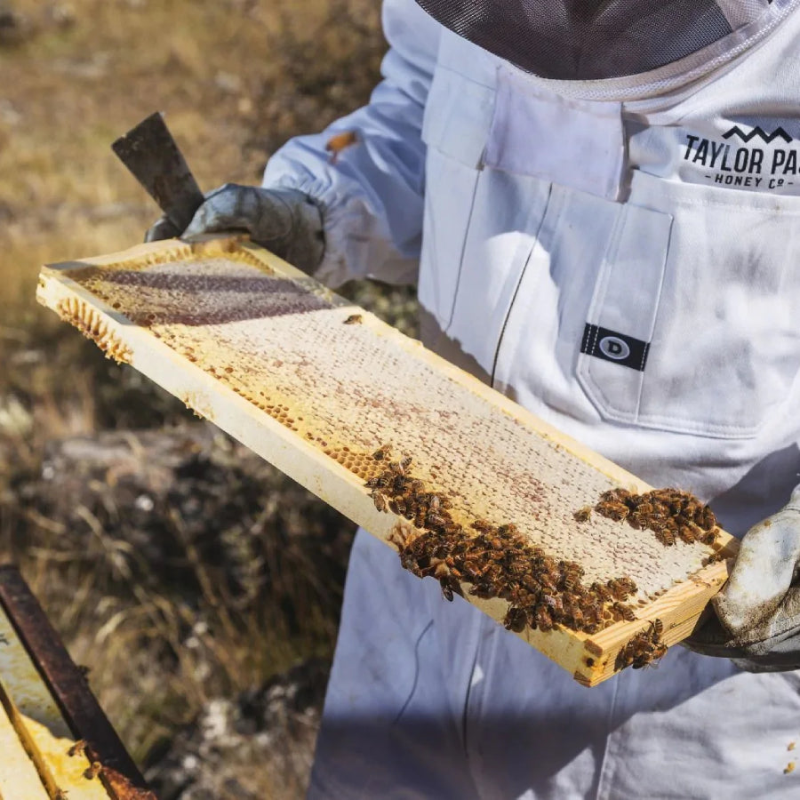 Is Honey The Secret Ingredient Your Skin Care Routine Needs?