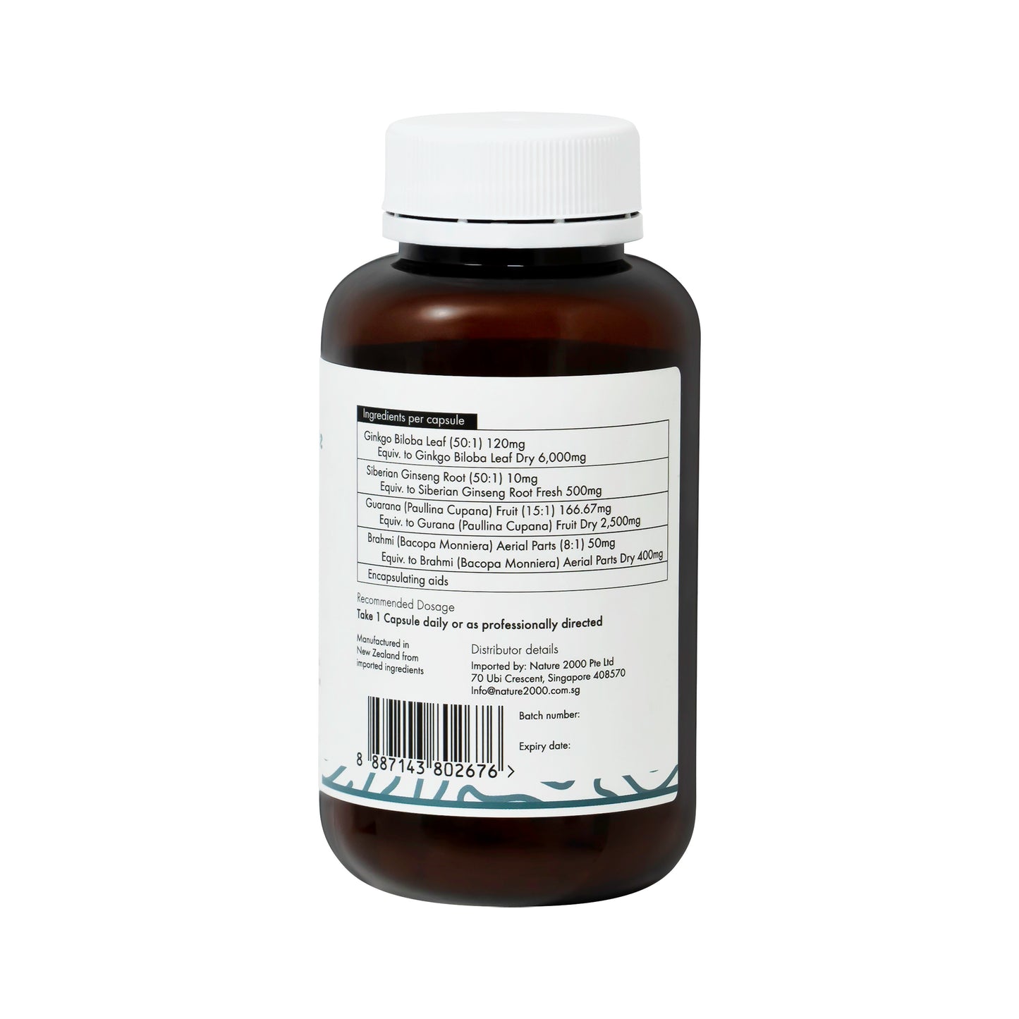Nutrisynce Ginkgo Biloba 60 Vege Capsules - Mental Clarity, Focus, and Overall Well-being