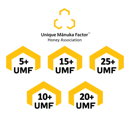 Understanding UMF: What It Means and Why It Matters