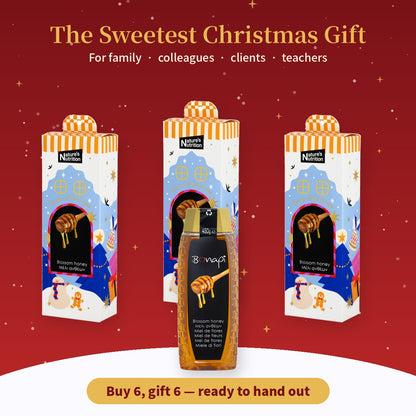 Bonapi Christmas Honey Gift Box 450g x 6 (26 edition - DIY Fold)