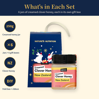 Nature's Nutrition Clover Honey Christmas Gift Box 250g x 6 (25 edition - Random Color/DIY Fold)