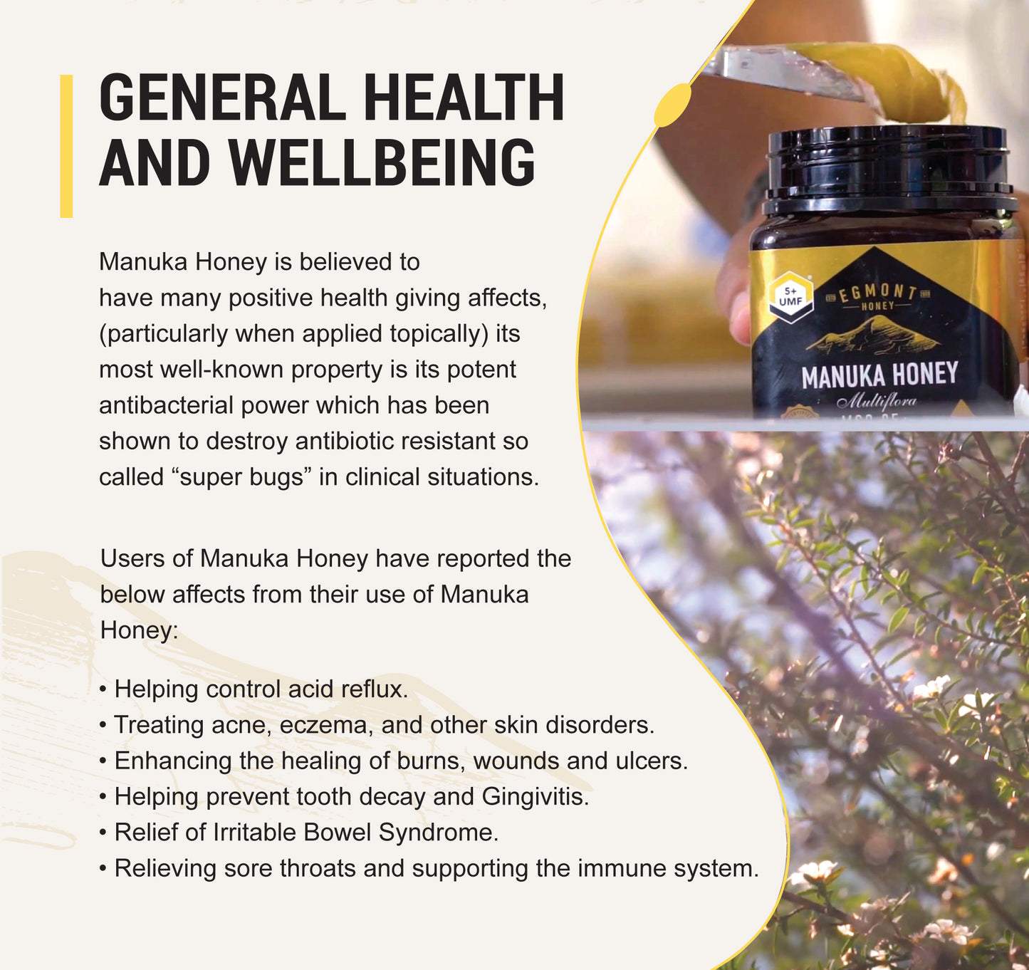 Egmont Manuka Honey UMF 23+