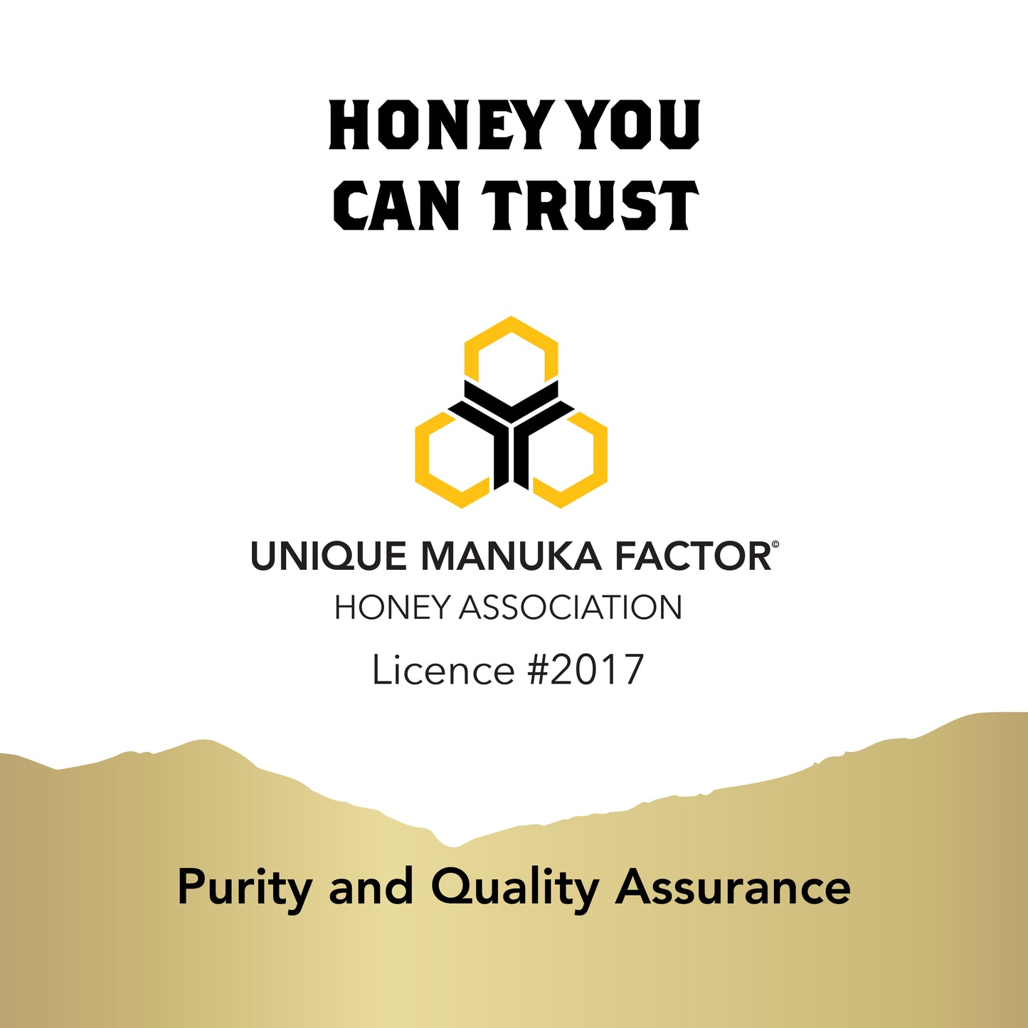Taylor Pass Manuka Honey UMF 15+